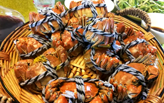 “陽(yáng)澄湖大閘蟹”：正品尚未開(kāi)捕 “李鬼”蟹已上市