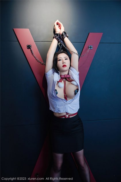 被公侵犯的中文字幕海报