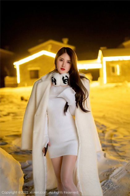 老司机性爱视频海报