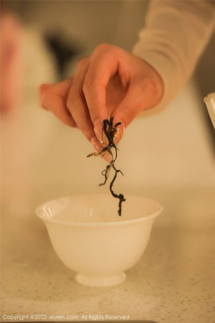 林黛玉贾政h文海报